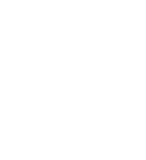 logo_willa_strong_white