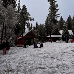 WhatsApp Image 2026-03-06 1417.00.24